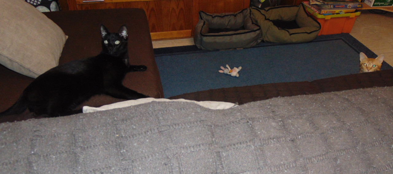 suspeitosdocostume.jpg suspeitosdocostume.jpg