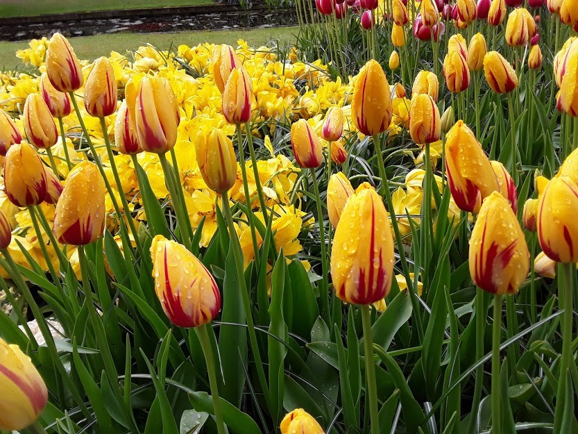 20190428_142003.jpg