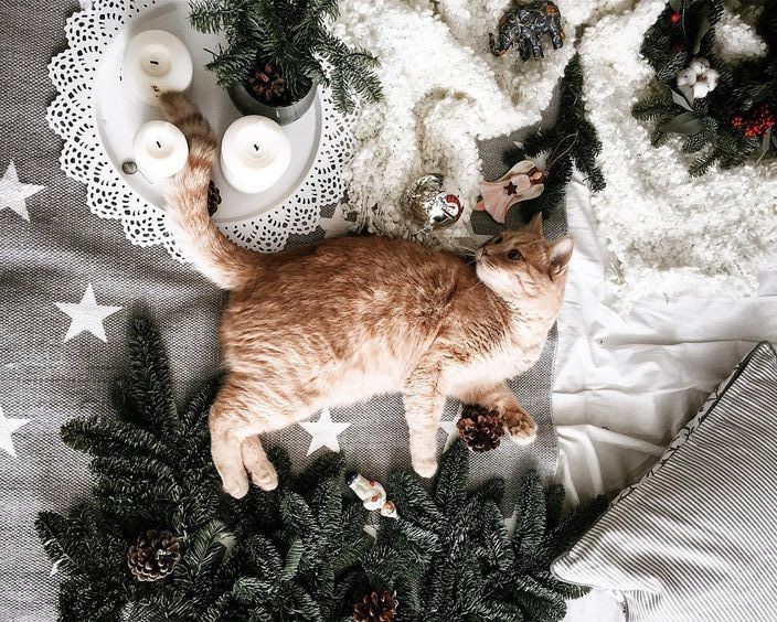 xmas.jpg