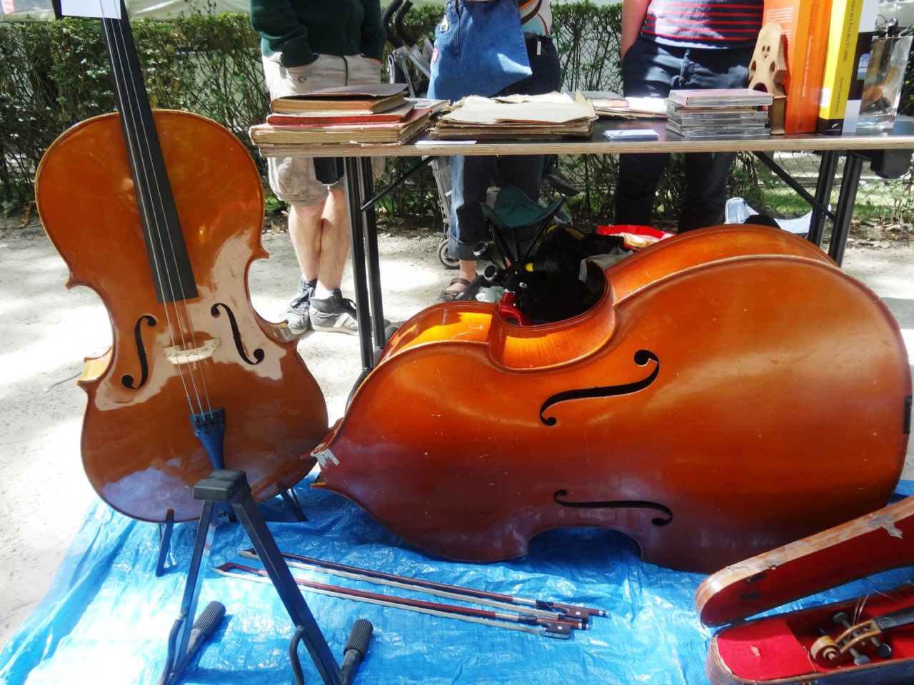 Violoncelo.JPG