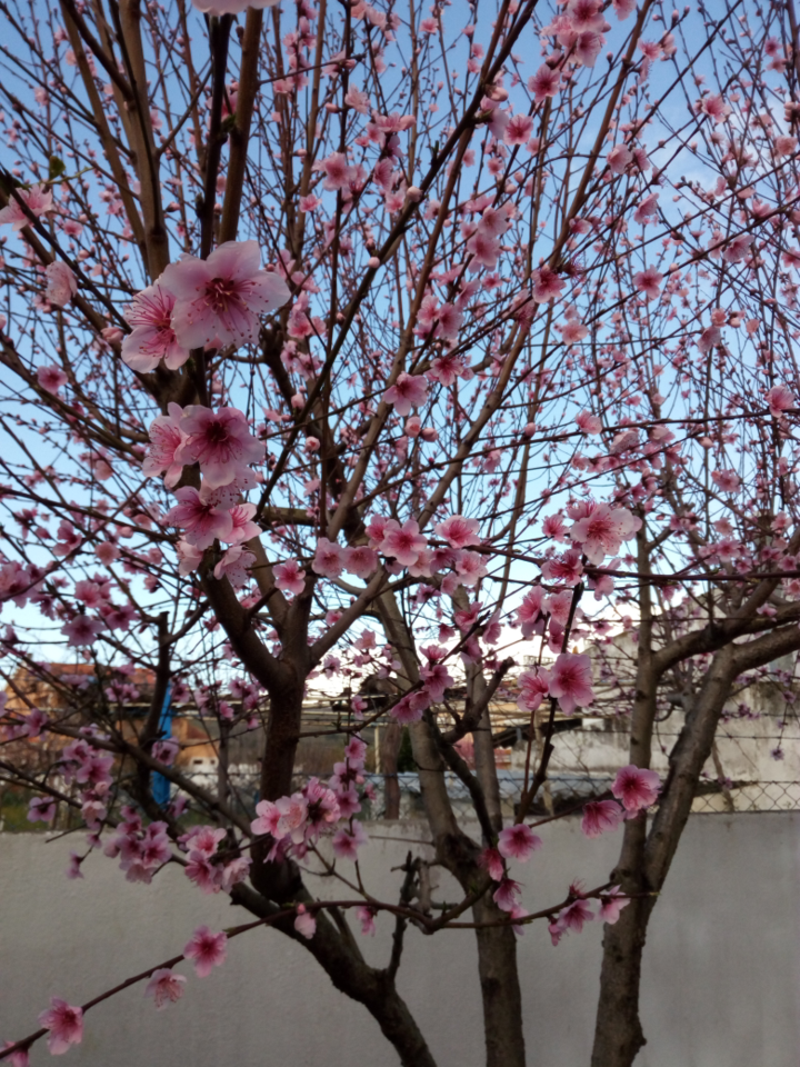 PE_20180316_063956.png