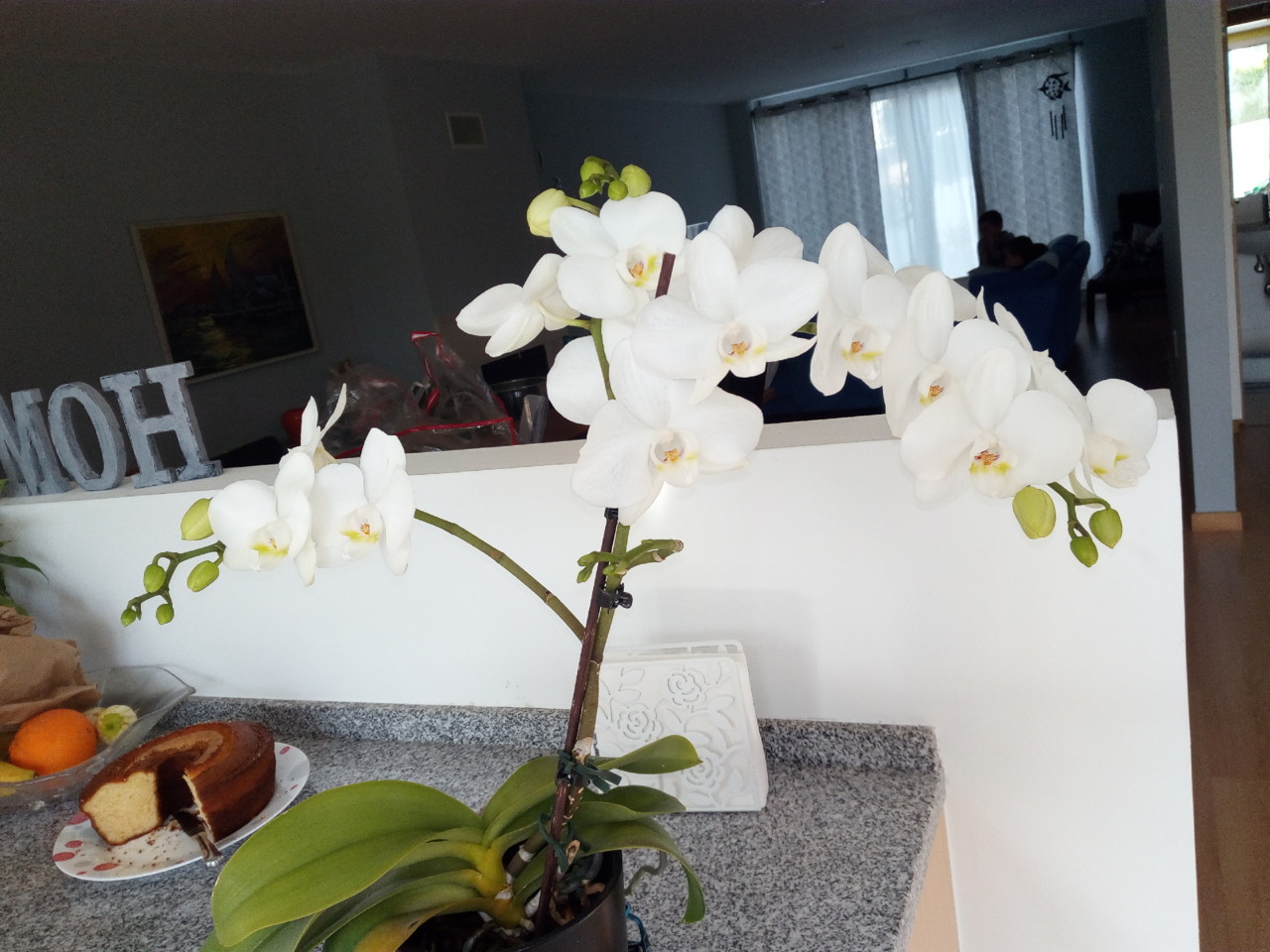 IMG_20180501_181129.jpg