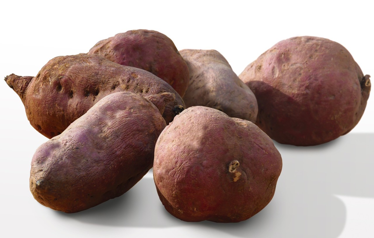 sweetpotato-1975990_1920.jpg sweetpotato-1975990_1920.jpg