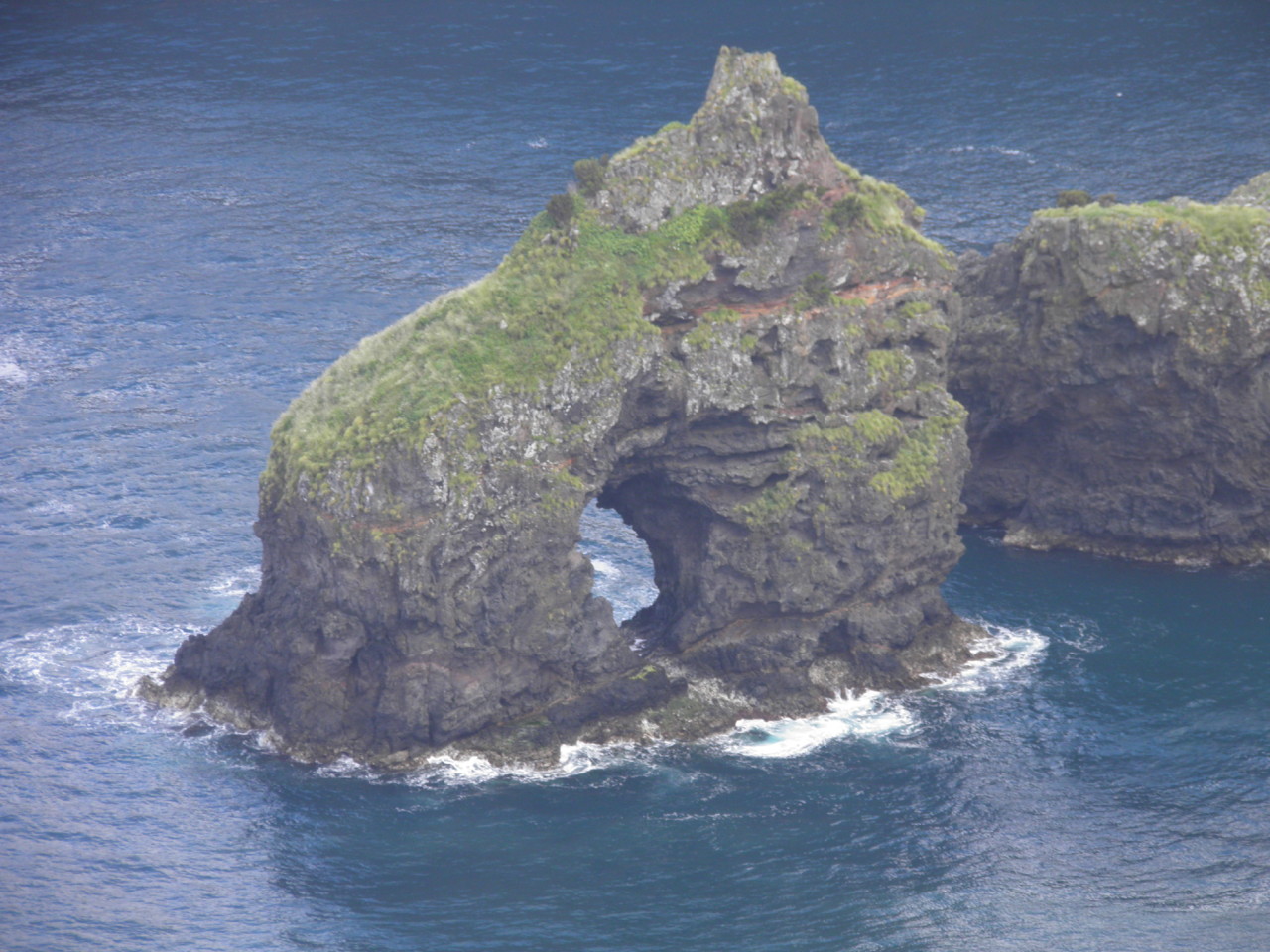 Ponta Ruiva, Flores (4).JPG Ponta Ruiva, Flores (4).JPG