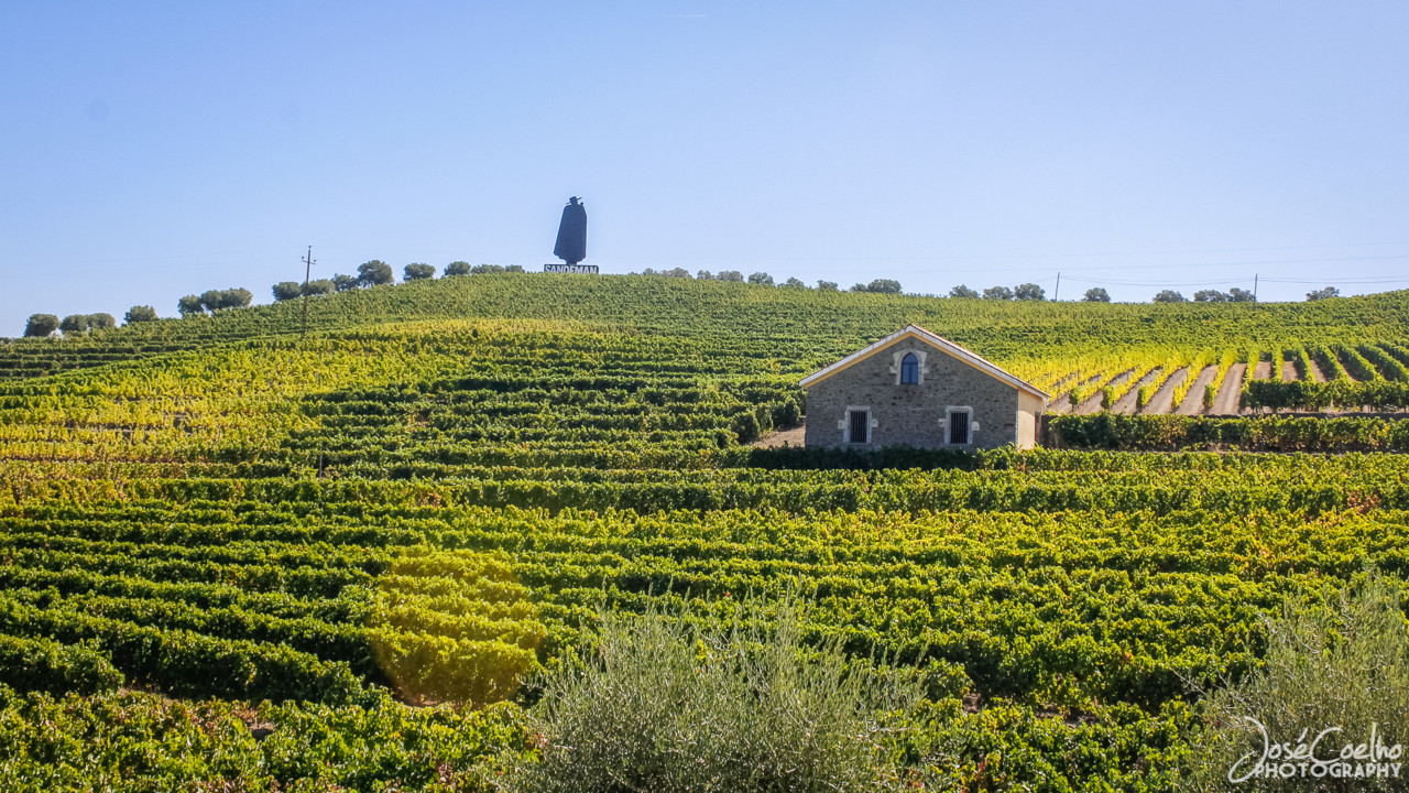QUINTA DA PACHECA DOURO LAMEGO (27).jpg QUINTA DA PACHECA DOURO LAMEGO (27).jpg