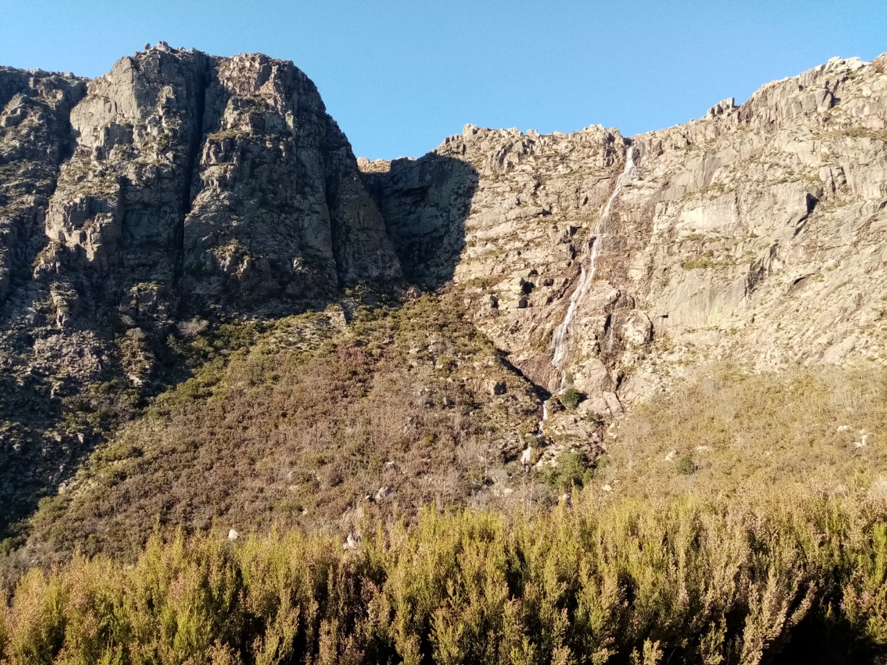 IMG_20200307_164149.jpg