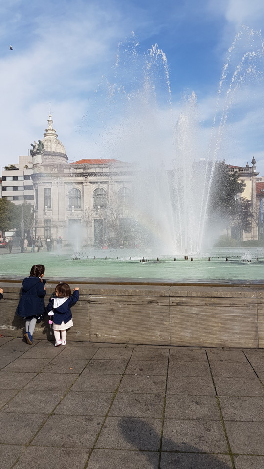 20190217_104307[1].jpg