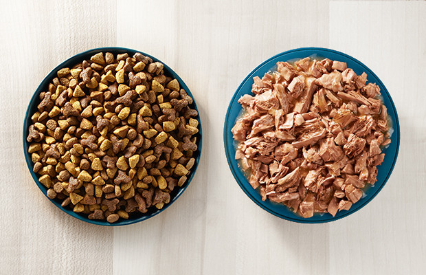 wet-and-dry-cat-food-hero_1.jpg wet-and-dry-cat-food-hero_1.jpg