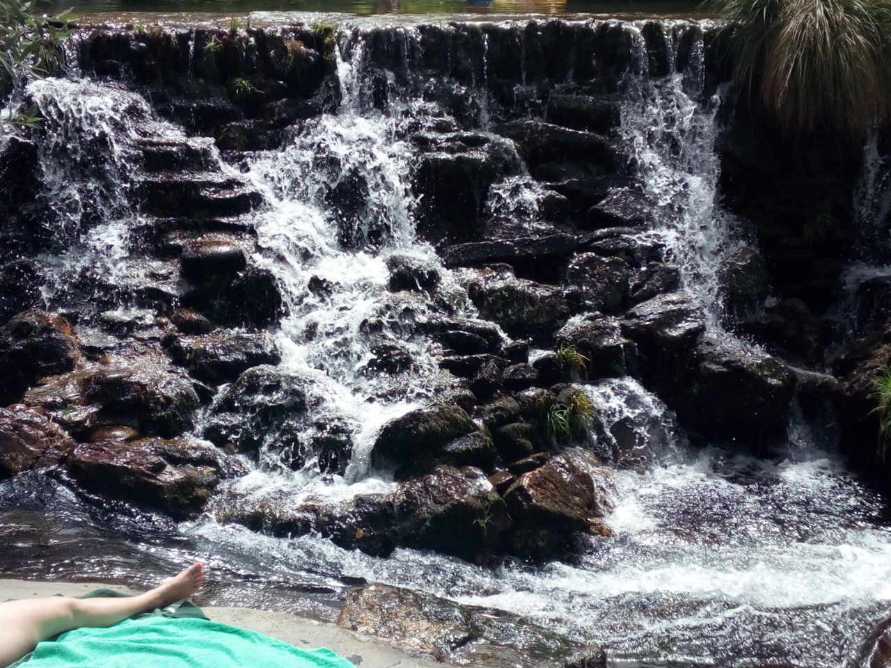 IMG_20180805_115649.jpg