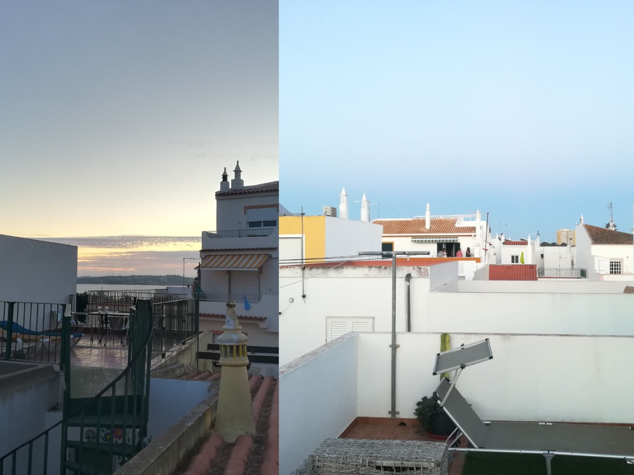 collage2.jpg