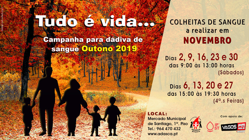 sapo_banner_adasca_novembro_min.jpg