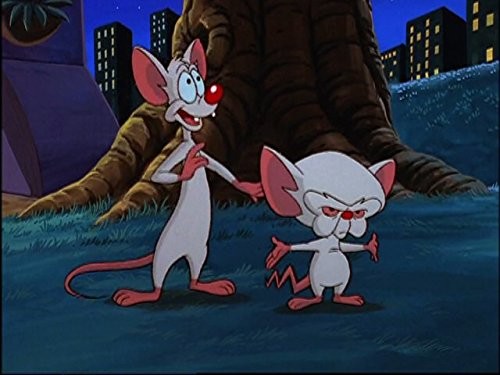 pinky.jpg