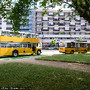 Autocarros antigos de Coimbra