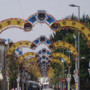 P8090158 (2).JPG
