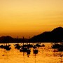 Amanhecer no Rio -  Baía de Guanabara nesta quart