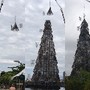 &Aacute;rvore de Natal da Lagoa recebe estrela - Foto Re