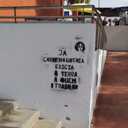 IMG_20221005_104732 (1).jpg