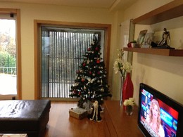 IMG_0081.JPG