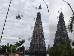 Árvore de Natal da Lagoa recebe estrela - Foto Re