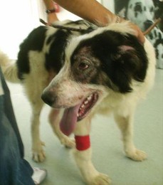 fb_wc3WFGqZsefqpQOzHCLv