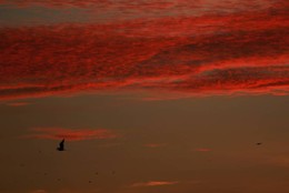 Amanhecer - O estonteante c&eacute;u vermelho na manh&atilde; 