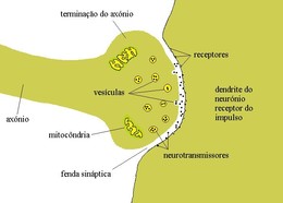 sinapse_quimicaa.jpg