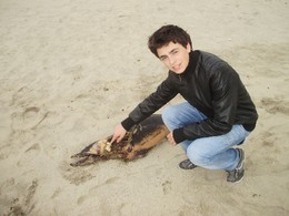 C:\Documents and Settings\Administrador\Ambiente d